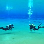 PADI PADI