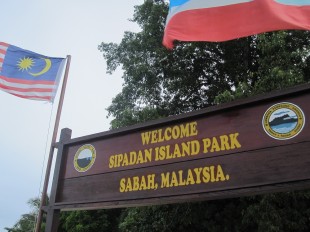  Borneo Tours and Travel  image