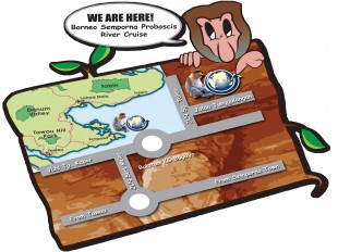 BSP Road Route Map White Semporna Proboscis Monkey proboscis monkeys image