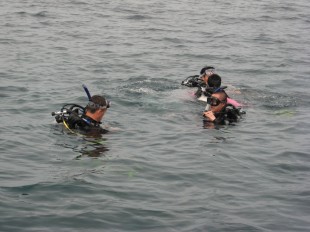 Scuba Divers Sipadan Diving Centre package image