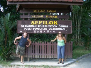 Sepilok Centre Sepilok 2D1N orangutan image