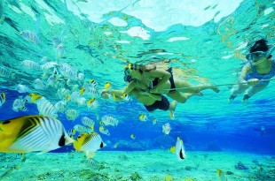 Snorkeling Sipadan Mabul Kapalai Day Trip package image
