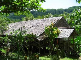 Tip of Borneo LongHouse Tip of Borneo kota kinabalu tours image