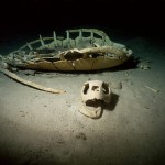 Skeleton in Turtle Tomb at Pulau Sipadan