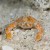 Celebes Sea Celebes Sea