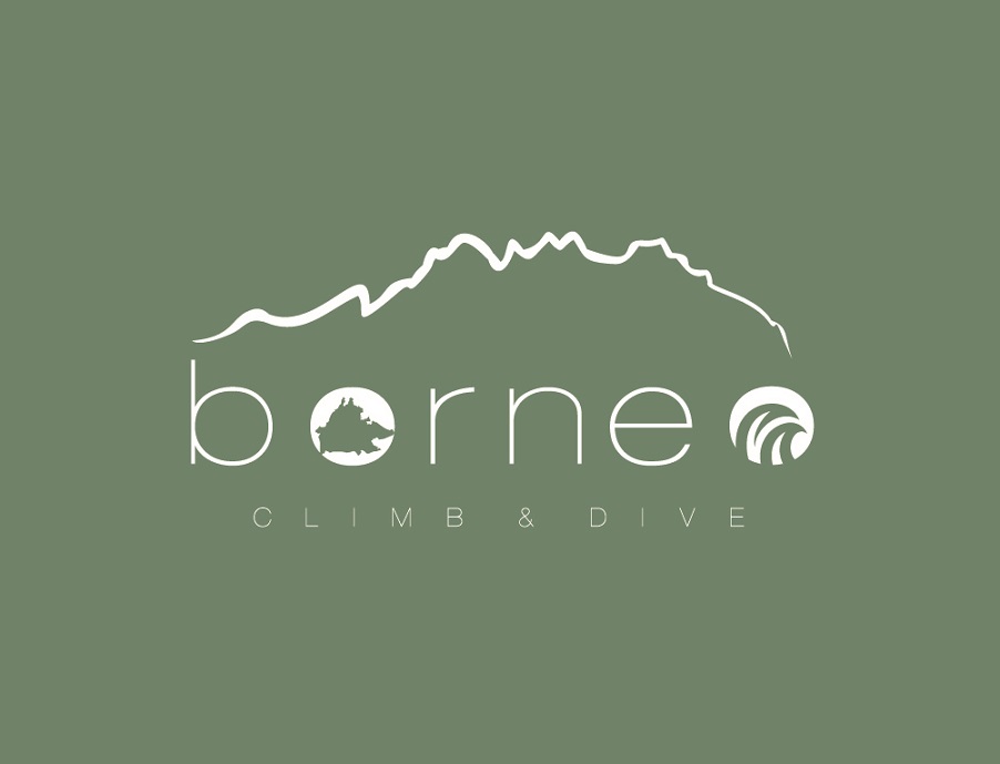 Borneo Tours & Travel link