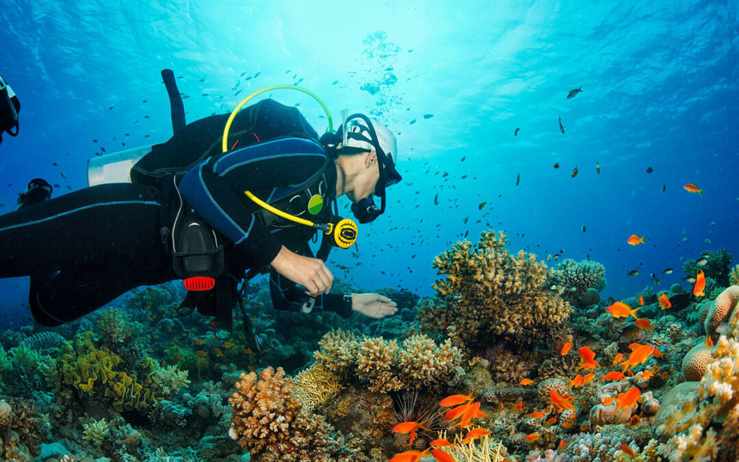 Discover Scuba Diving (Semporna & Kota Kinabalu)