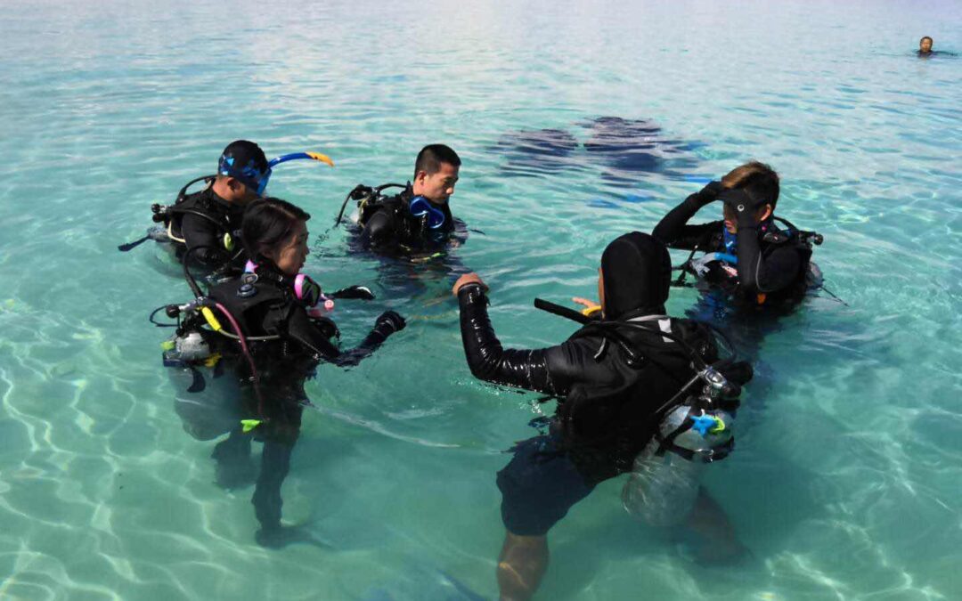 SSI Open Water Course (Sepanggar Island)