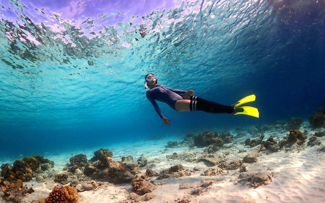 Semporna Island (Snorkeling)